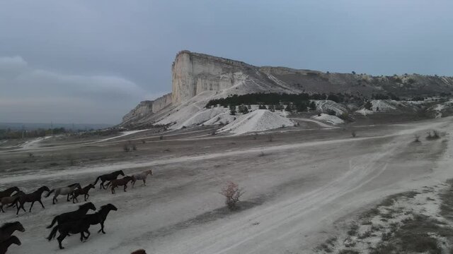 white rock mountains with horses running