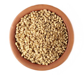 Wheat kernels, grains pile in clay pot isolated on white background, top view
