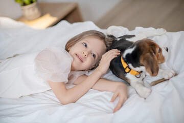 Placid pretty little girl stroking her beagle
