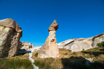 Hoodoo or Fairy Chimneys in Pasabagi Cappadocia