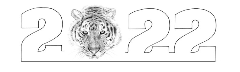 Hand drawn tiger and text 2022, sketch graphics monochrome illustration on white background