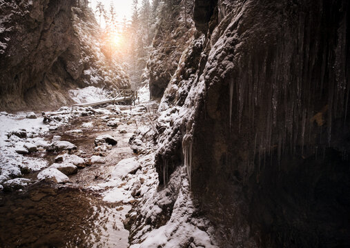 Flowing small creek running out icicle cave and washing big boulders. First sun rays lite young snow islands. Cold early winter mountain forest landscape in Slovakia Tatry mountain.