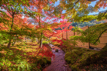 京都　 永観堂の紅葉