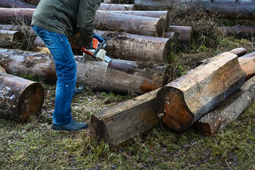 man holds a chainsaw and saws a log. The chain saw is in motion, sawdust is flying apart. Production of log cabins. Deforestation