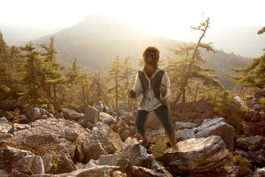 Wolfman howling in agony while standing on rocks in the woods at sunrise