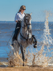 Woman and horse. Horse stomps his hoof on sea and splashes water.