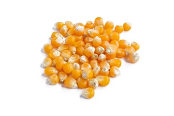 Corn kernels isolated on white background