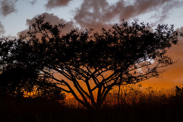atardecer