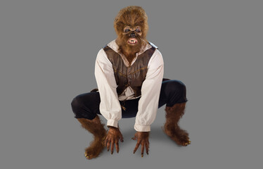 Portrait of a man in a Halloween costume of a Werewolf Wolfman crouched down growling, against gray background