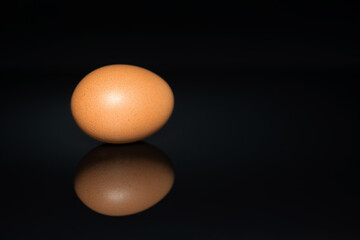 Natural yellow chicken egg on a black background