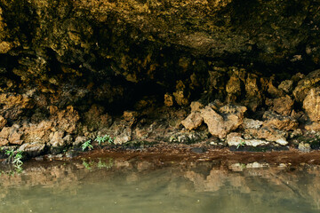 island palm trees Exotic landscape tropics summer