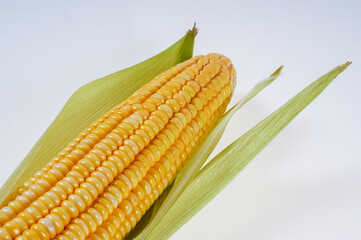 Organic corn cob isolated on white background.