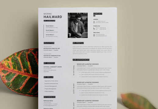 Professional Resume & Cover Letter Layout