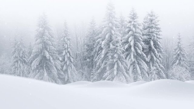 Winter season snowy snow bumps landscape with snow covered trees in the background.  Falling realistic snowflakes seamless loop animation.	