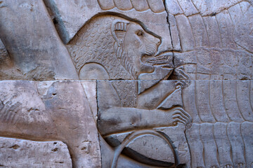 Kom Ombo Temple - Detailed Lion