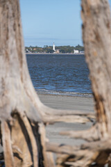 Driftwood on the beach with lighthouse in background