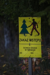 Tabliczka : Zakaz wstępu  do lasu . Ścinka drzew . Plate: No entry to the forest! Tree felling. - obrazy, fototapety, plakaty