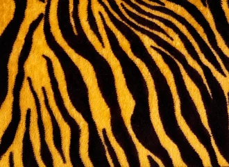 Schilderijen op glas Background with a pattern of tiger stripes, tiger color. Tiger stripes.Tiger skin background or texture.  © Кузнецова Евгения