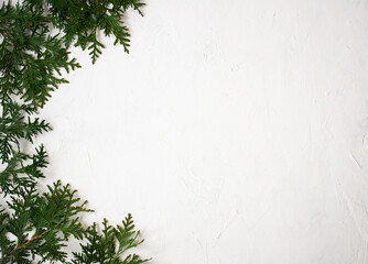 Christmas or New Year background: fir tree branches on a white background. White frame for your congratulations