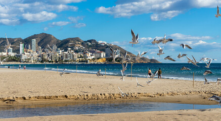 Fototapete bei efototapeten.de bestellen   