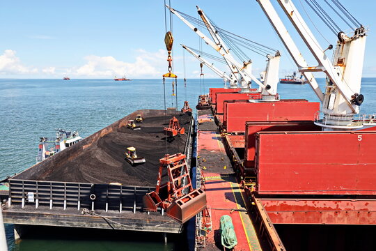 Loading coal from cargo barges onto a bulk carrier using ship cranes and grabs at the port of Muara Pantai, Indonesia. January,2021.