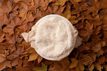 Autumn, fall Newborn digital backdrop/background with natural leaves
