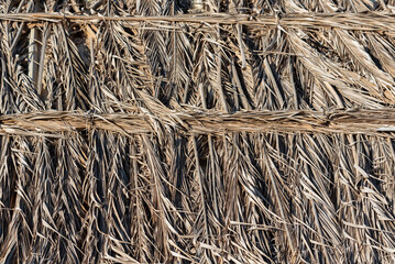 The dried palm leaves are arranged neatly on the flat surface of the roof. Natural background from dry leaves.