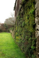 Moss-covered stine wall in Bonaval Park, Santiago de Compostela. Vertical image.