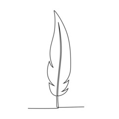 Bird feather in one line drawing, vector illustration