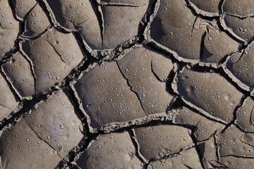 Obraz premium Climate warming dry chapped land
