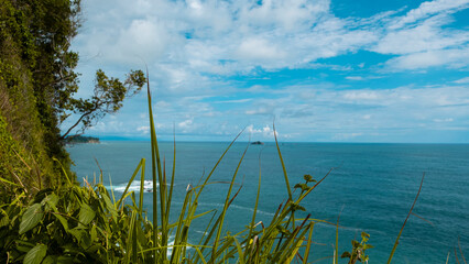 grass, sky and Pacific ocean