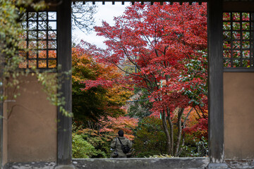 海蔵寺の門から眺る紅葉 - obrazy, fototapety, plakaty