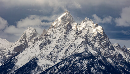 Naklejka premium Grand Teton National Park