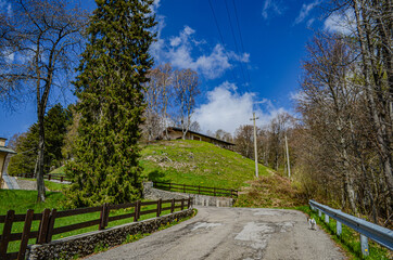 Fototapeta premium path in the park