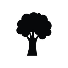 tree isolated on white