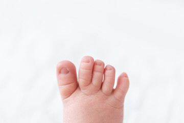 Tiny newborn baby toes