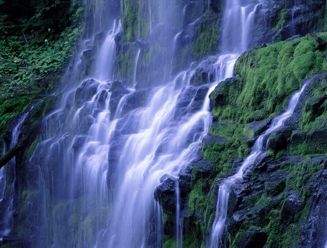 Lower Proxy Falls H Oregon