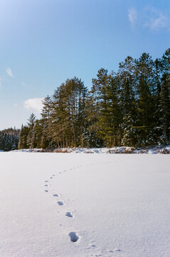 Steps in the snow