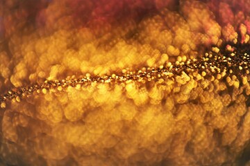  Shining background.Shiny Festive Background. gold glitter texture.soft focus.Beautiful bokeh background in gold colors.Glowing bokeh.