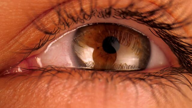 Female almond-shaped hazel eye. Beautiful woman eye crevice with black long lashes and reflection of light closeup laowa lens shot