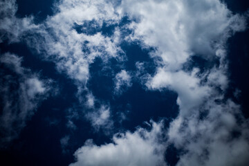 Obraz premium 青空