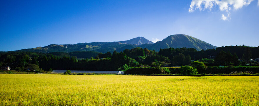 2 098 件の最適な 南阿蘇 画像 ストック写真 ベクター Adobe Stock