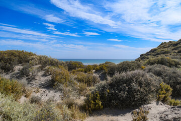 landscape with sky and clouds