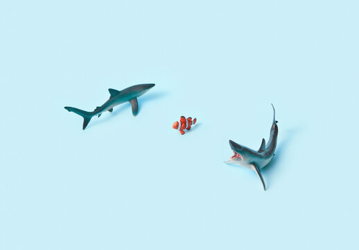 Sharks surrounded clownfish