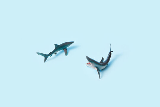 Two plastic sharks