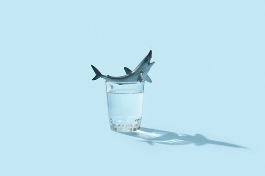 Shark on glass of water