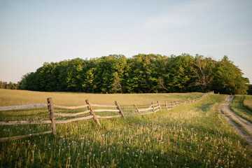A country field at golden hour