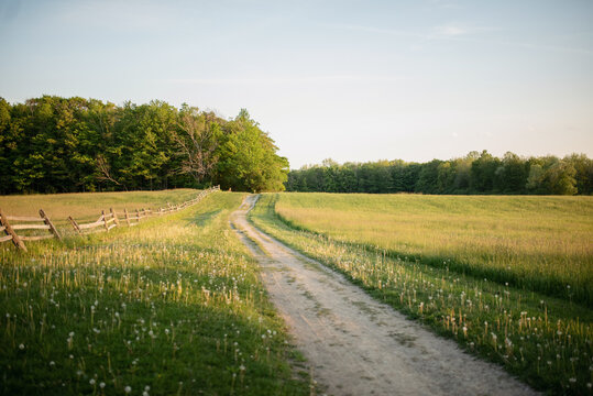 A country field at golden hour