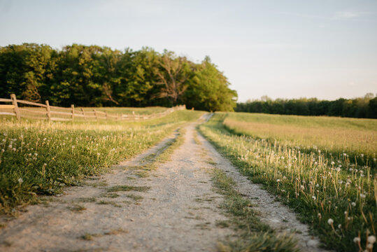A country field at golden hour