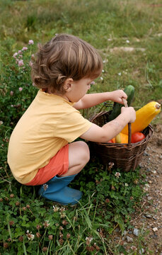 Little Boy With A Basket Of Vegetables